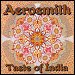 Aerosmith - "Taste Of India" (Single)