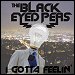 Black Eyed Peas - "I Gotta Feeling" (Single)