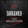 BTS - 'Dark & Wild'