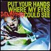 Busta Rhymes - "Put Your Hands Where My Eyes Could See" (Single)