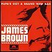 James Brown - "Papa's Got A Brand New Bag" (Single)