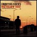 Counting Crows featuring Vanessa Carlton - "Big Yellow Taxi" (Single)