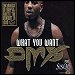 DMX featuring Sisqo - "What You Want" (Single)