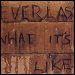 Everlast - "What It's Like" (Single)
