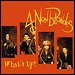 4 Non Blondes - "What's Up" (Single)