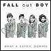 Fall Out Boy - "What A Catch, Donnie" (Single)
