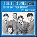 The Fortunes - "You've Got Your Troubles" (Single)
