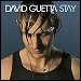 David Guetta featuring Chris Willis & Mone - "Stay" (Single)