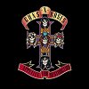 Guns N' Roses - 'Appetite For Destruction'