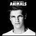 Martin Garrix - "Animals" (Single)