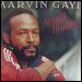 Marvin Gaye - "Sexual Healing" (Single) 