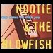 Hootie & The Blowfish - "Only Wanna Be With You" (Single)