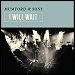 Mumford & Sons - "I Will Wait" (Single)
