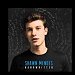 Shawn Mendes - "Stitches" (Single)
