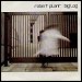 Robert Plant - "Big Log" (Single)