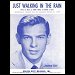 Johnnie Ray - "Just Walking In The Rain" (Single)