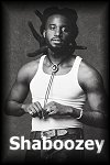 Shaboozey Info Page
