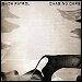 Snow Patrol - "Chasing Cars" (Single)