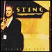 Sting - "Fields Of Gold" (Single)