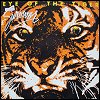 Survivor - 'Eye Of The Tiger'