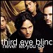 Third Eye Blind - "Never Let You Go" (Single)