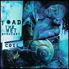 Toad The Wet Sprocket - Coil