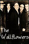 The Wallflowers Info Page